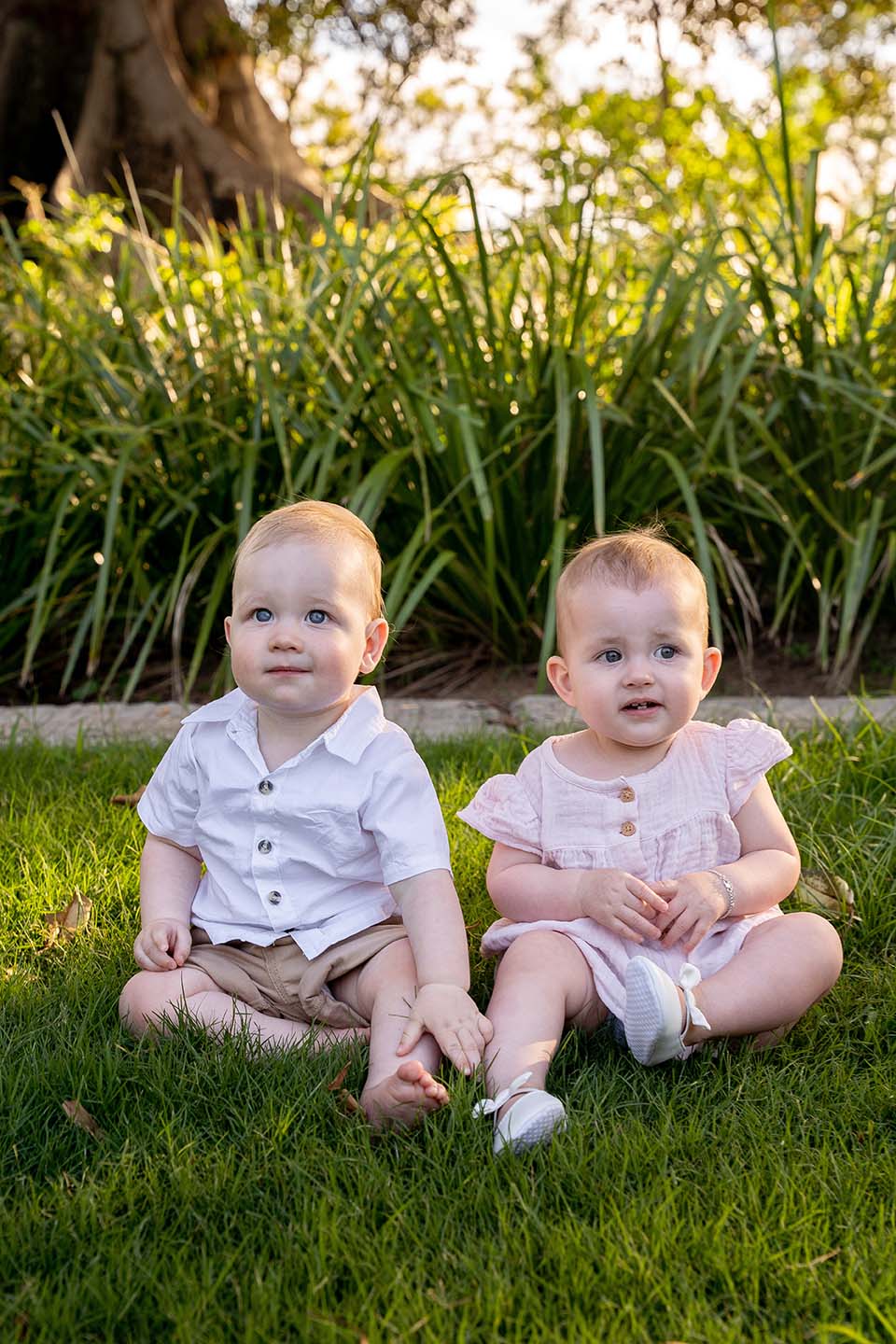 Family Photo - Twin Babies
