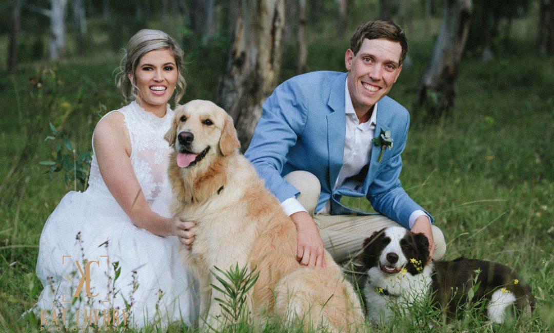 Wedding Photography with Dogs