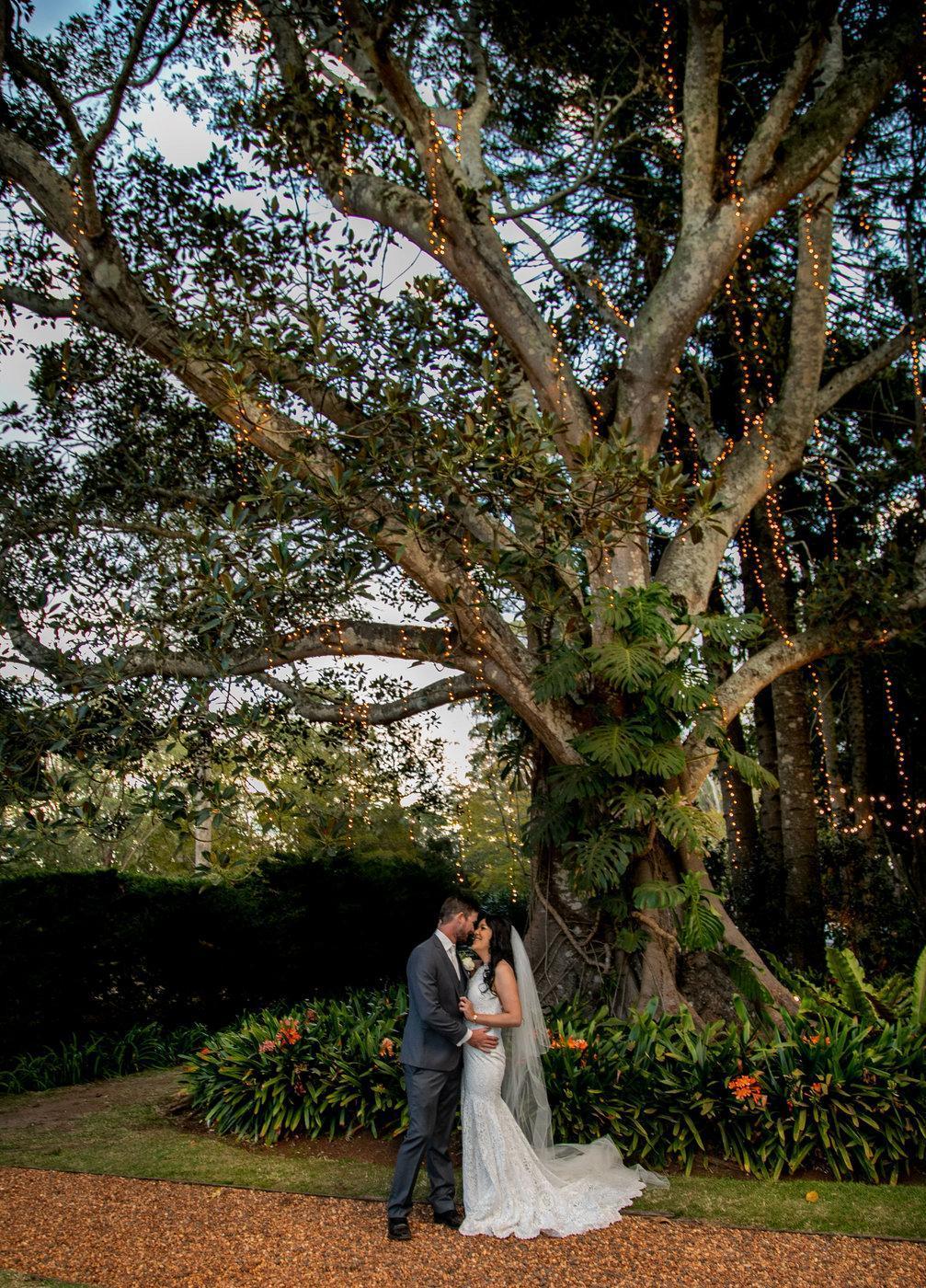 Wedding Photography couple embracing under tree
