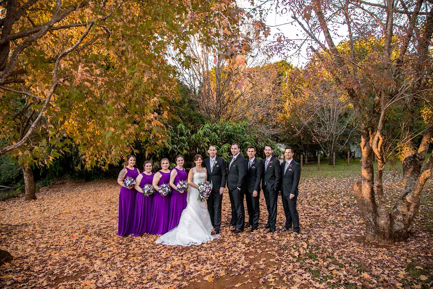 Wedding Photography Bridal Party Outdoors