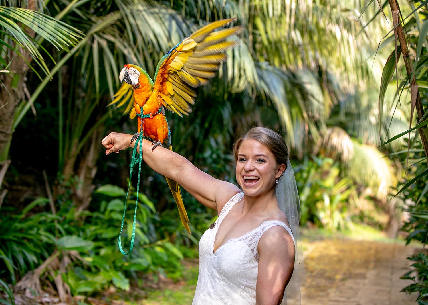 Wedding Photography - Bride with bird
