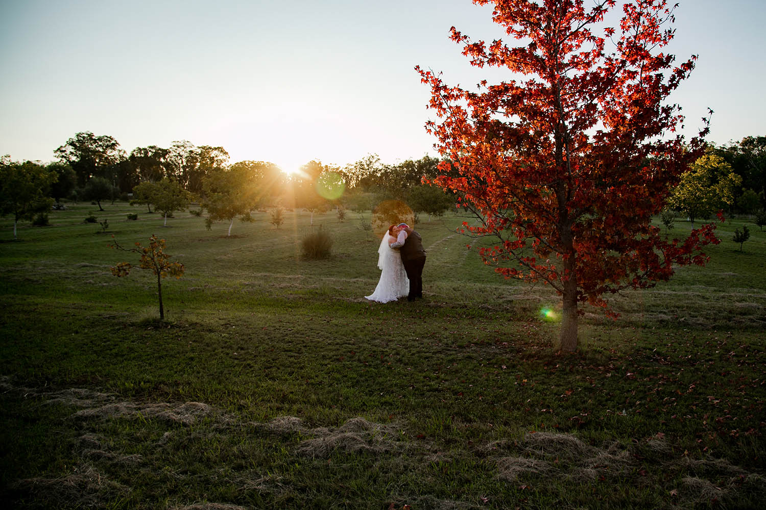 Wedding Photography - Couple in field