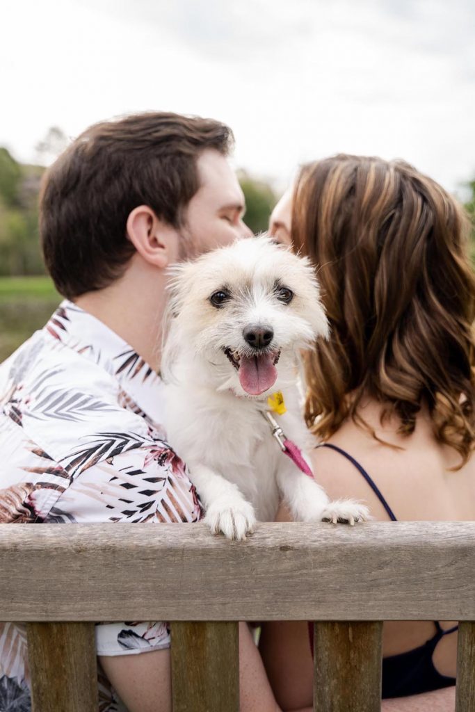 Engagement Shoot with dog
