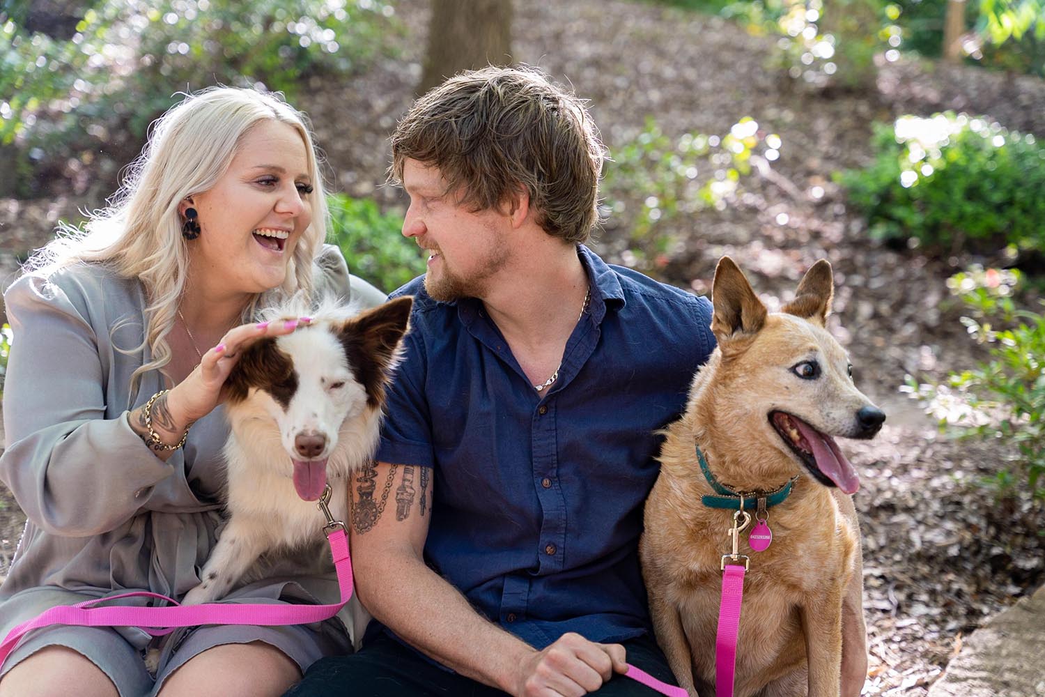 Engagement Shoot with dogs