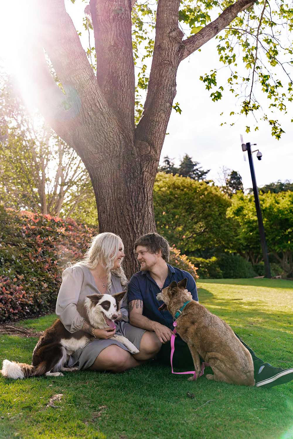 Engagement Shoot with dogs under tree
