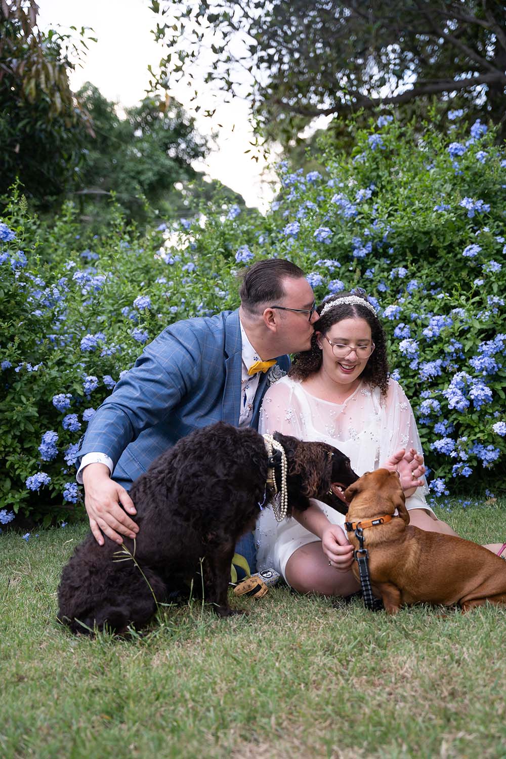 Wedding Photography - Bride and Groom with dogs