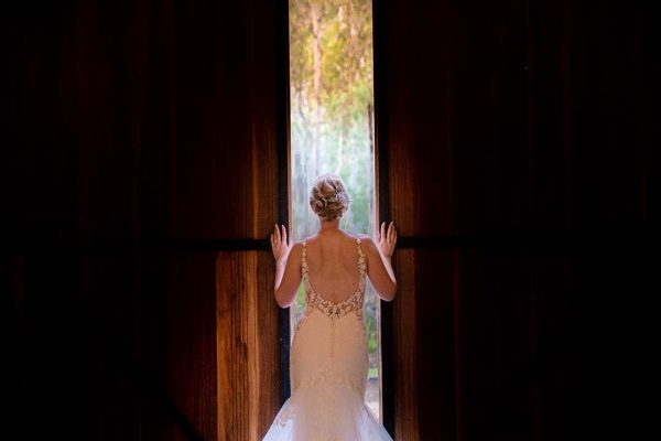 Wedding Photography - Brides gown