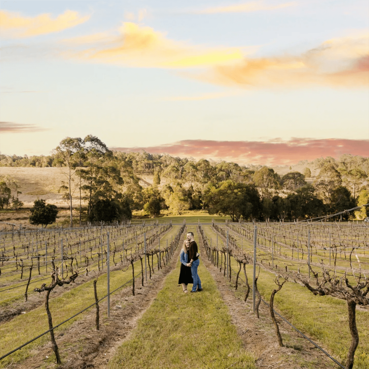 Engagement Photography - Couple in Vineyard