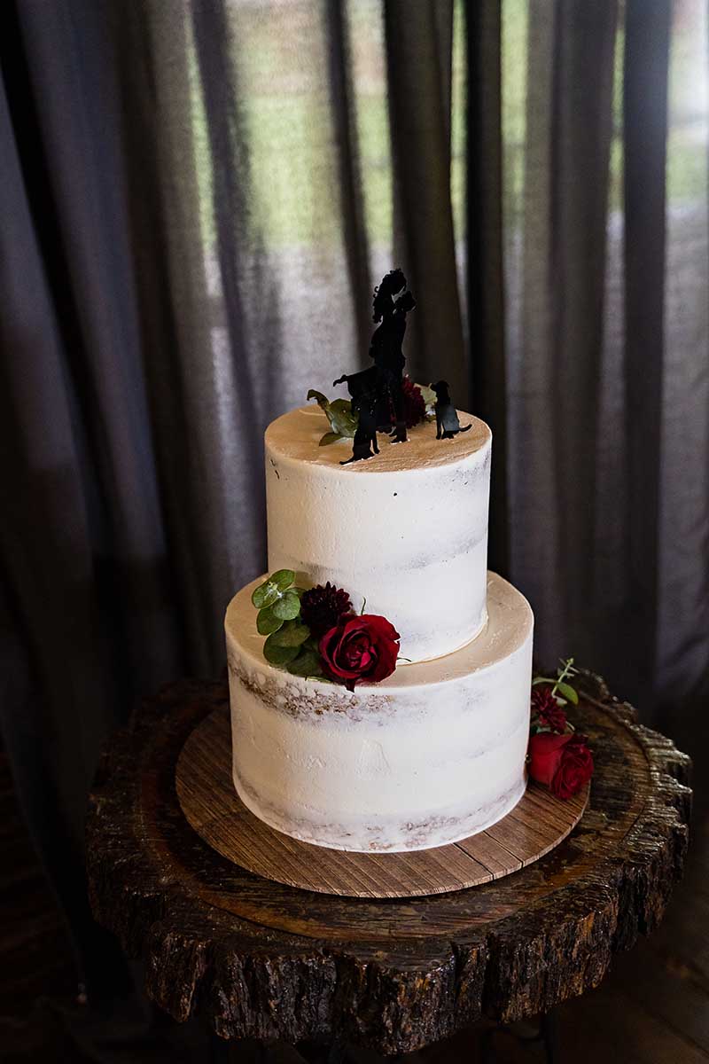 Wedding Photography - Wedding Cake