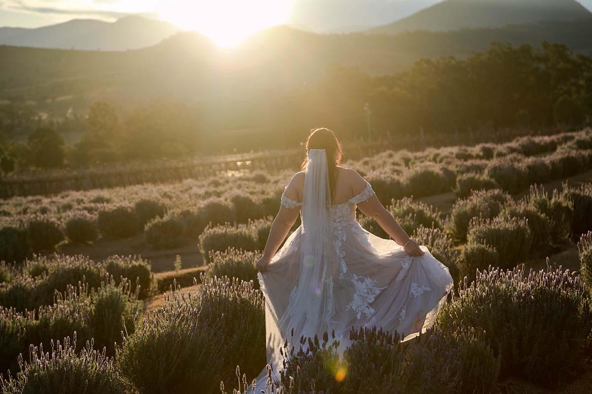 Wedding Photography - bride in sunset