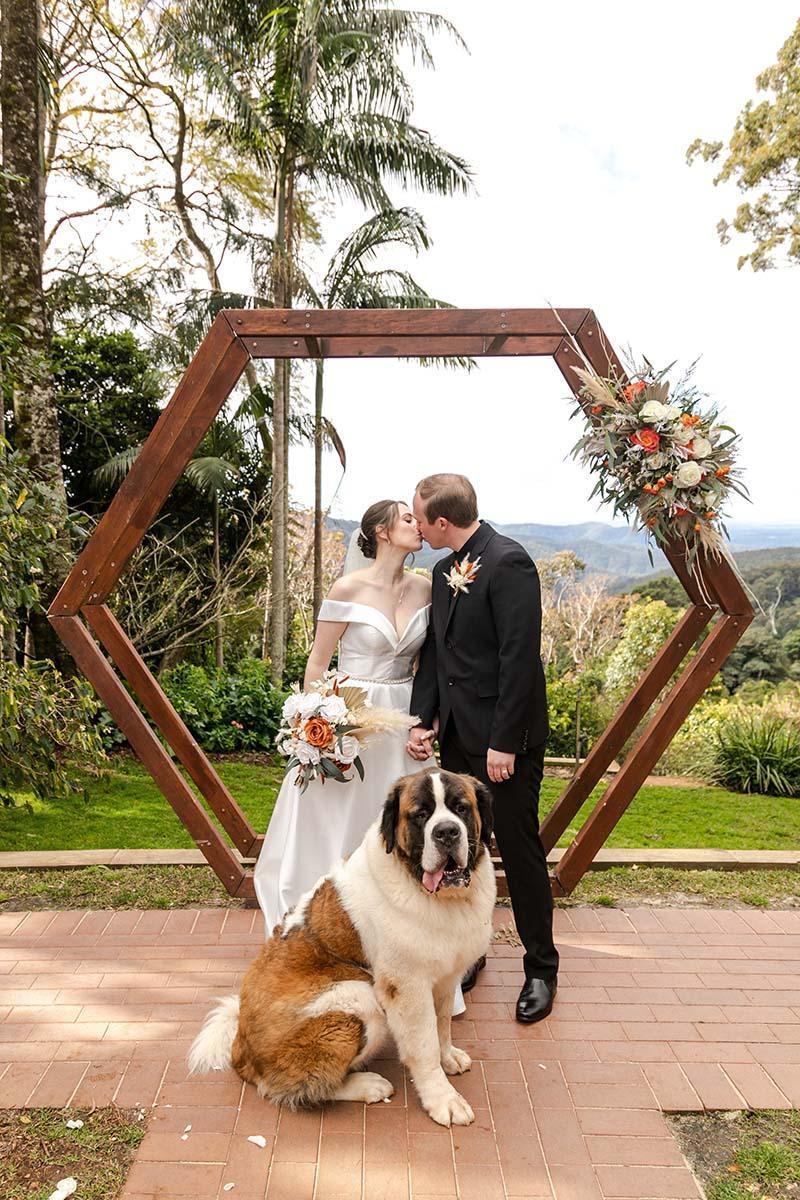 Wedding Photography – Bride and Groom just married with Dog in photo