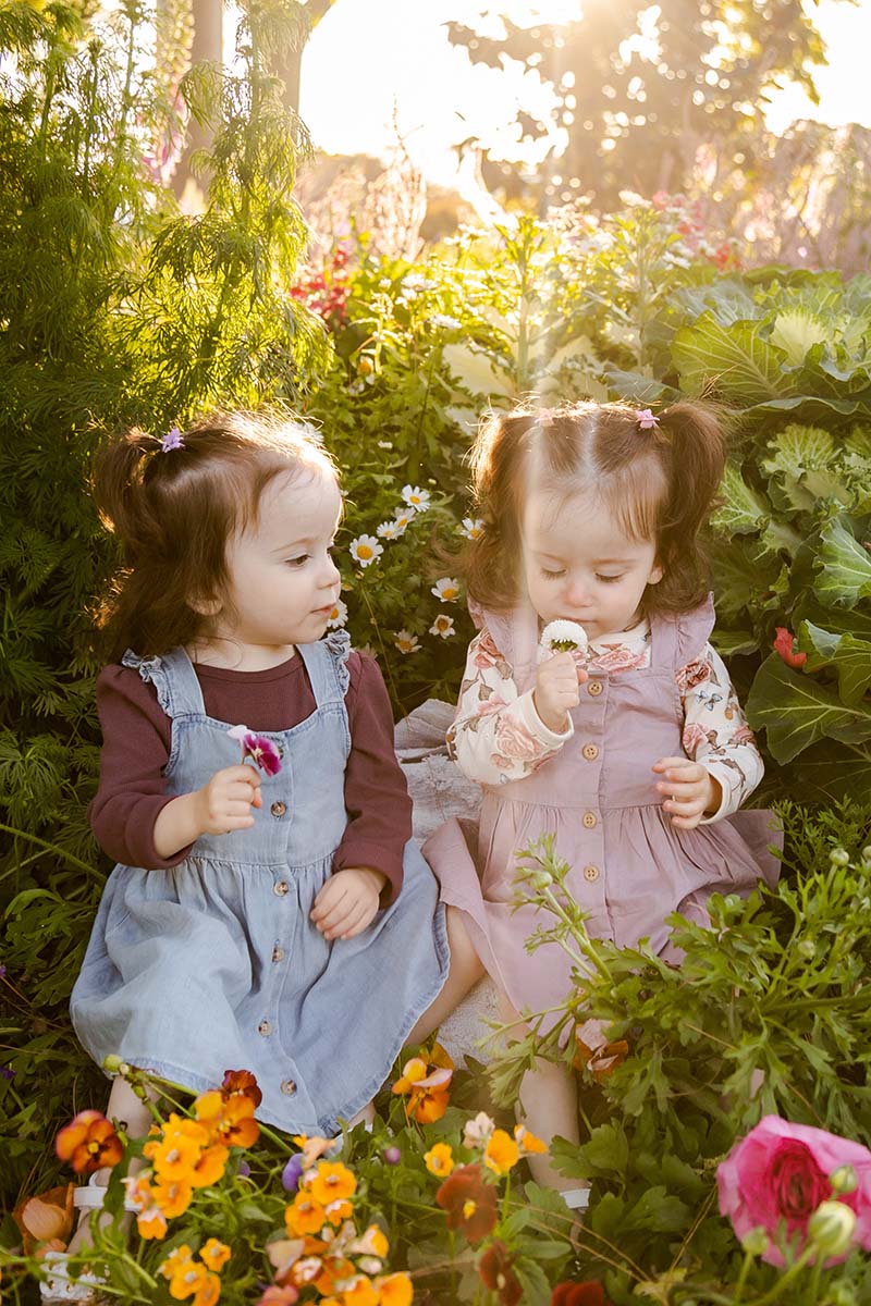 Family Photography - twins sitting in flowers
