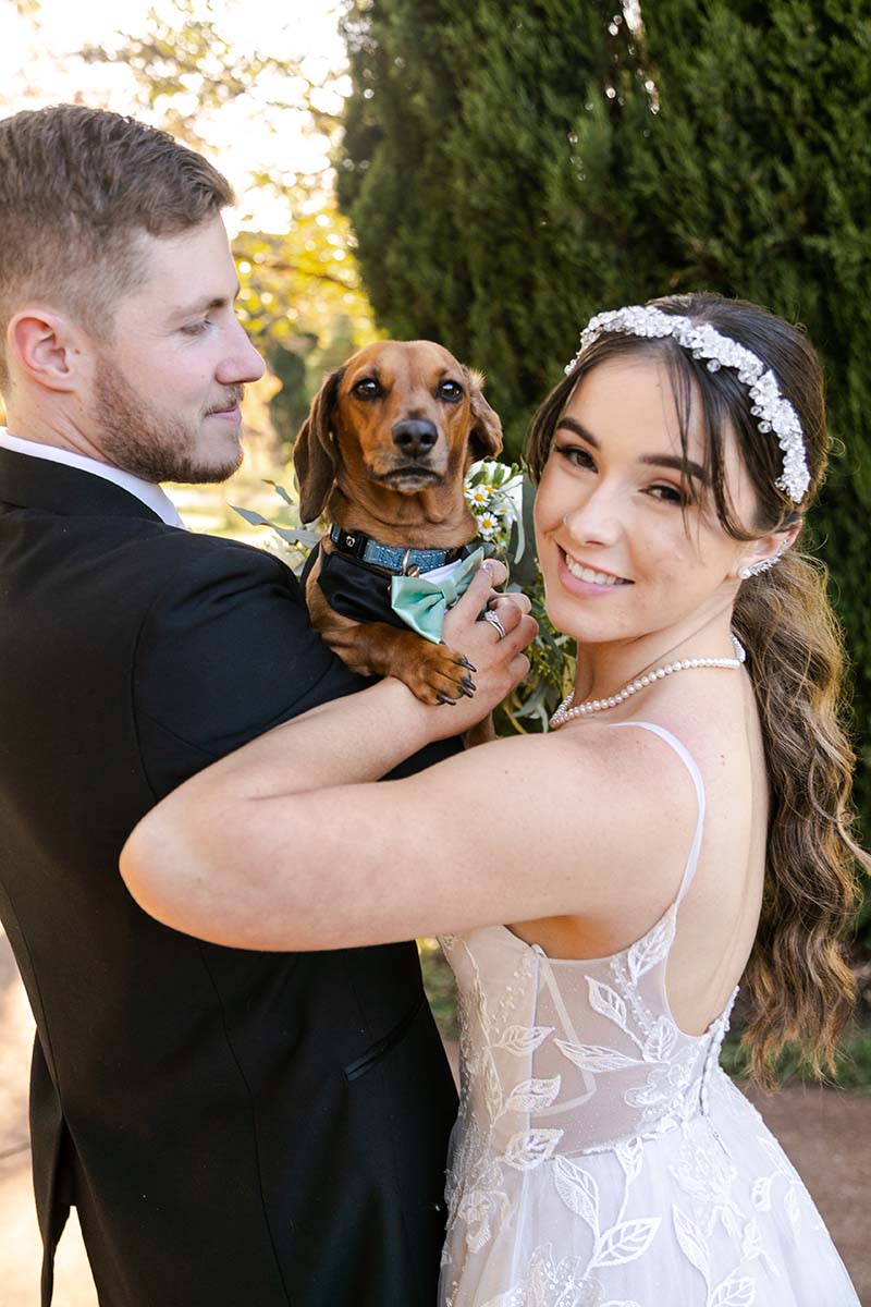 Wedding Photography -bride and groom holding a sausage dog