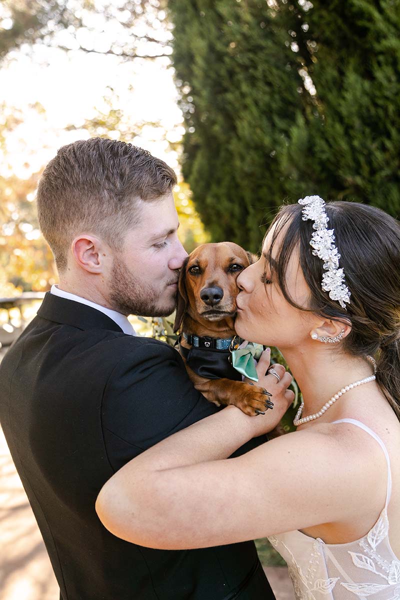 Wedding Photography - bride and groom kissing a sausage dog
