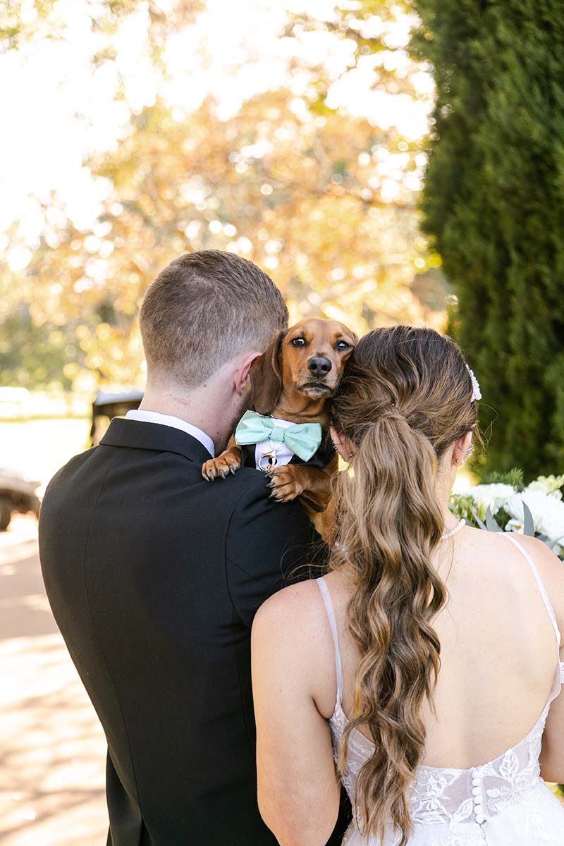 Wedding Photography - bride and groom with a sausage dog on their shoulders