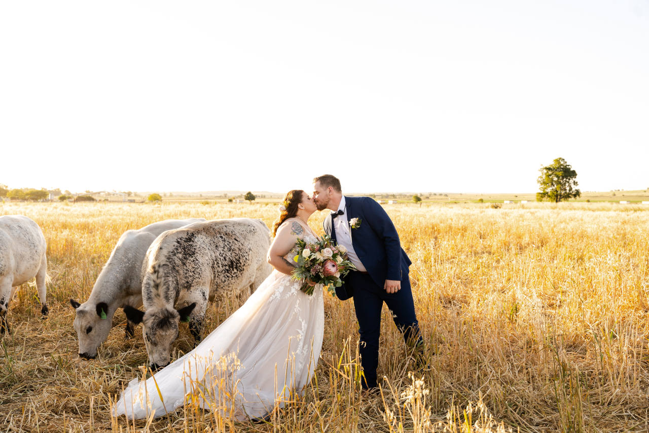 Cory Kaleisha Aberfeldy Barn wedding westbrook Bride and Groom kissing with cows behind