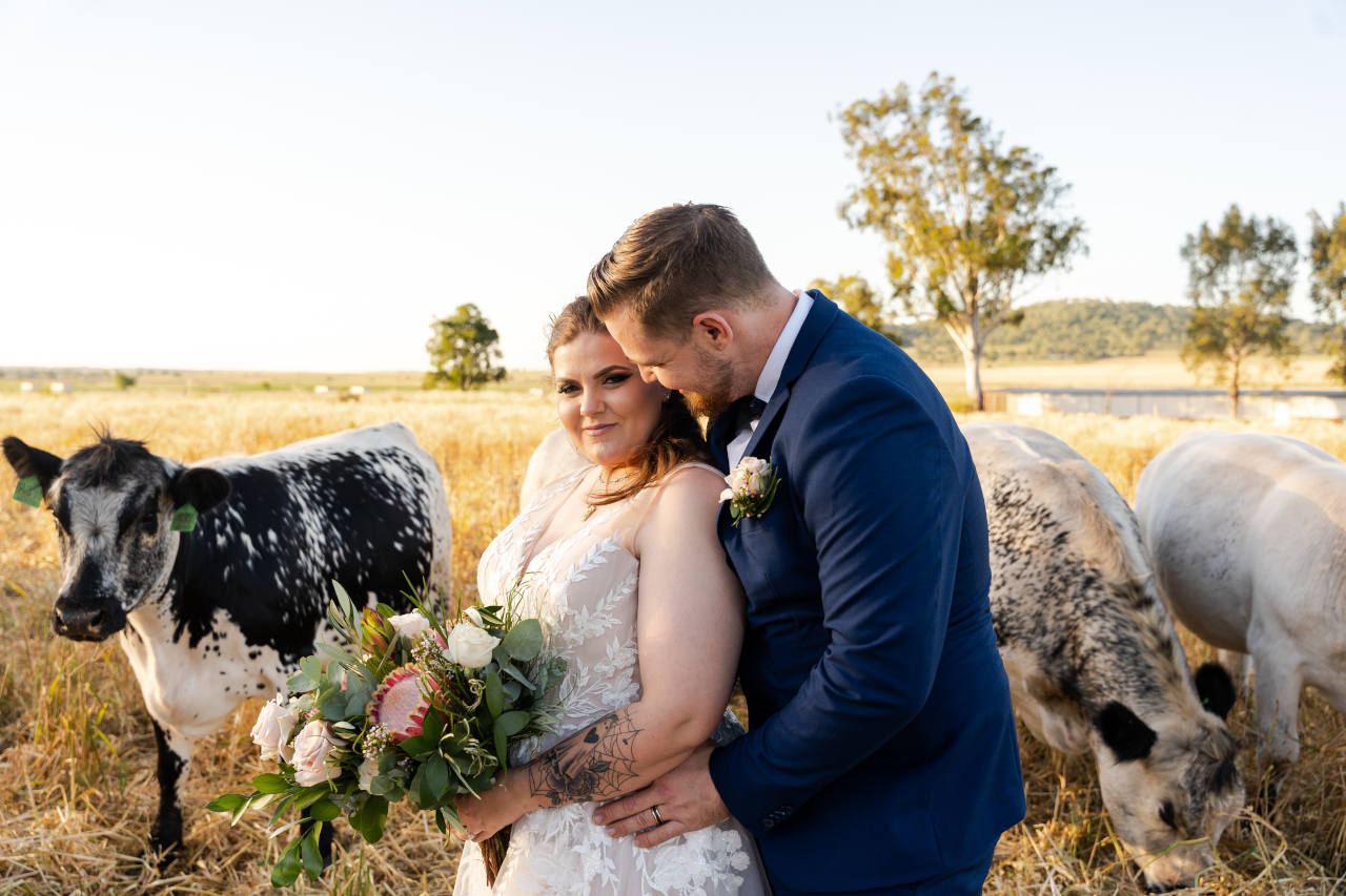 Cory Kaleisha Aberfeldy Barn wedding westbrook Newly Wed Portrait pose with cows