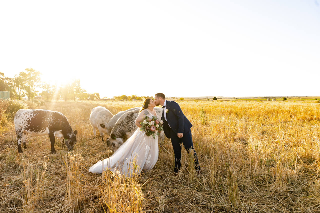 Cory Kaleisha Aberfeldy Barn wedding westbrook wed couple kissing in a field of cows