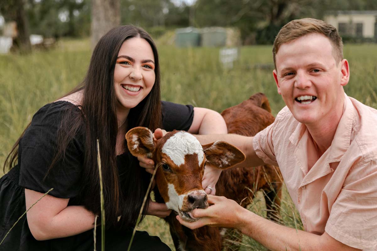 Engagement Photography couple with cow