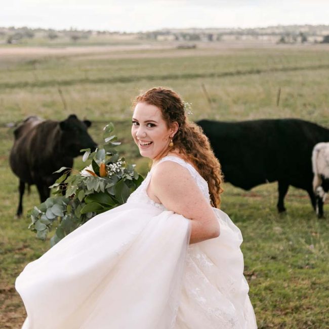 Wedding Photography bride in cattle field