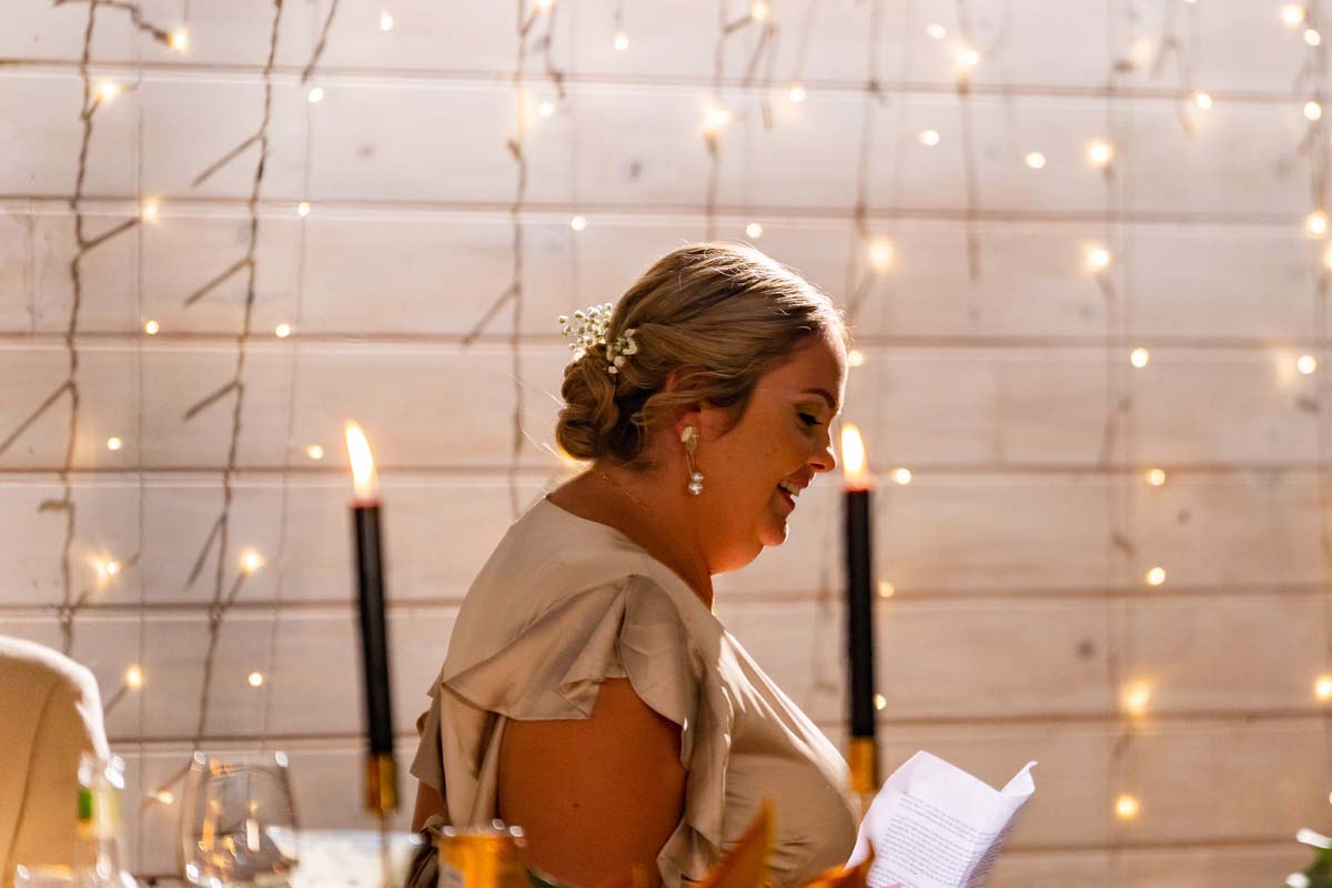 Wedding Photography reception speeches