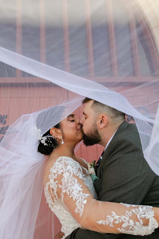 Wedding Photography bride and groom under veil