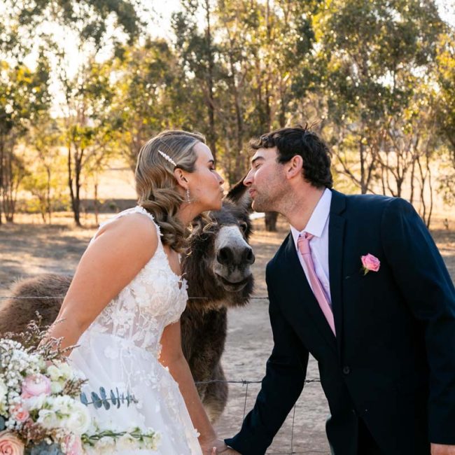 Wedding Photography bride and groom with donkey